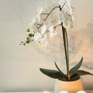 Meet your Posher, Binisha